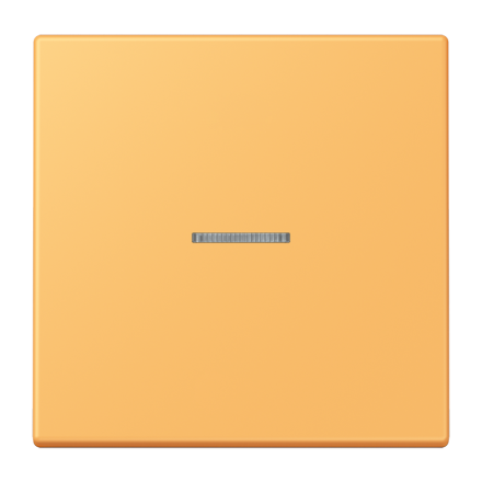 JUNG HOME кнопка, 1 группа, BT LC 17101254