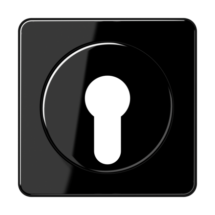 CD528SW Крышка для выключателя с замком; черная