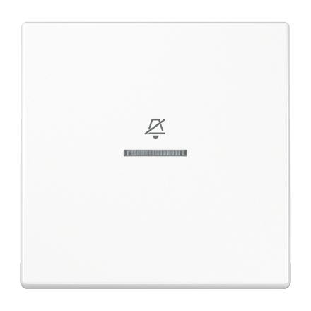 Двойная клавиша на гостиничный выключатель, комнатный модуль, LSRUKO5DWW